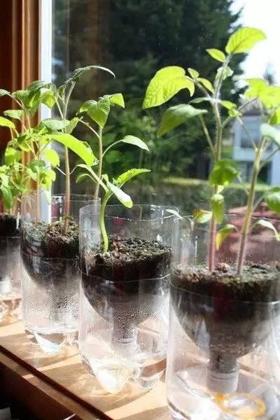 自制便攜收納盒,你家閑置的飲料瓶還能做這些？！