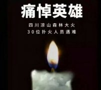 陽光甚好，是有人為我們擋住了黑暗...