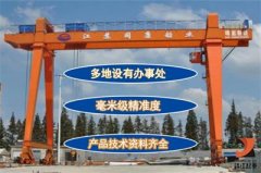 靖起起重機廠家，一對一定制服務(wù)！