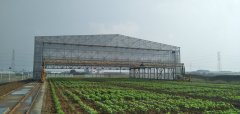 3.12植樹節(jié)，人人參與—靖起起重機(jī)生產(chǎn)廠家