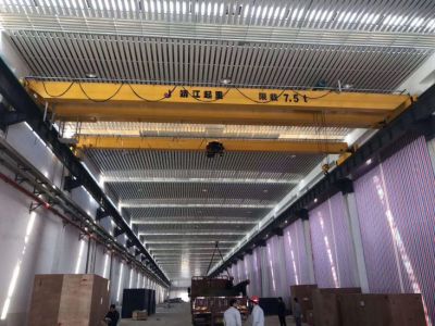 如何診斷歐式起重機(jī)變頻器的故障（如過載、過熱）？